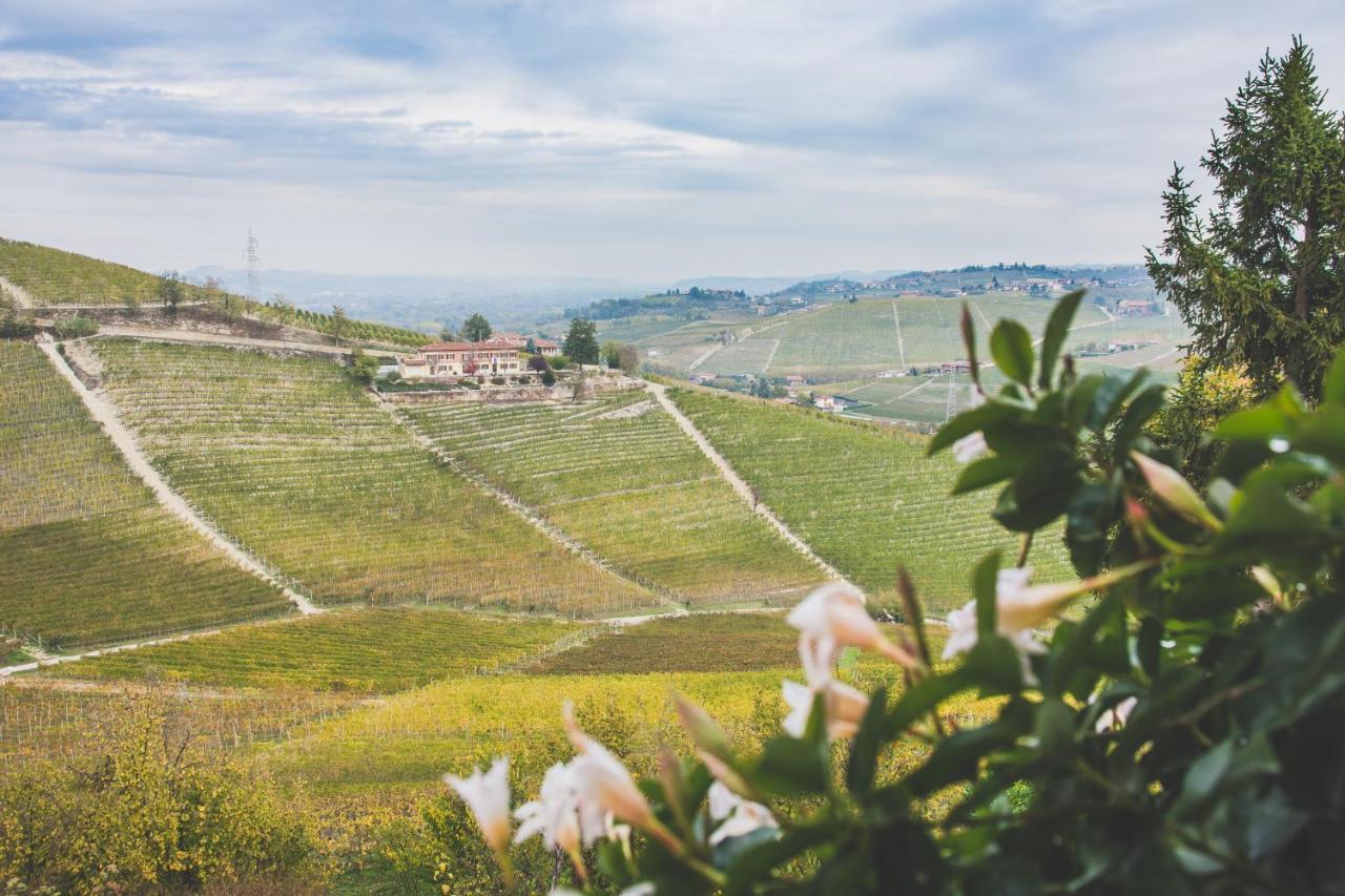 Rivella * Barbaresco