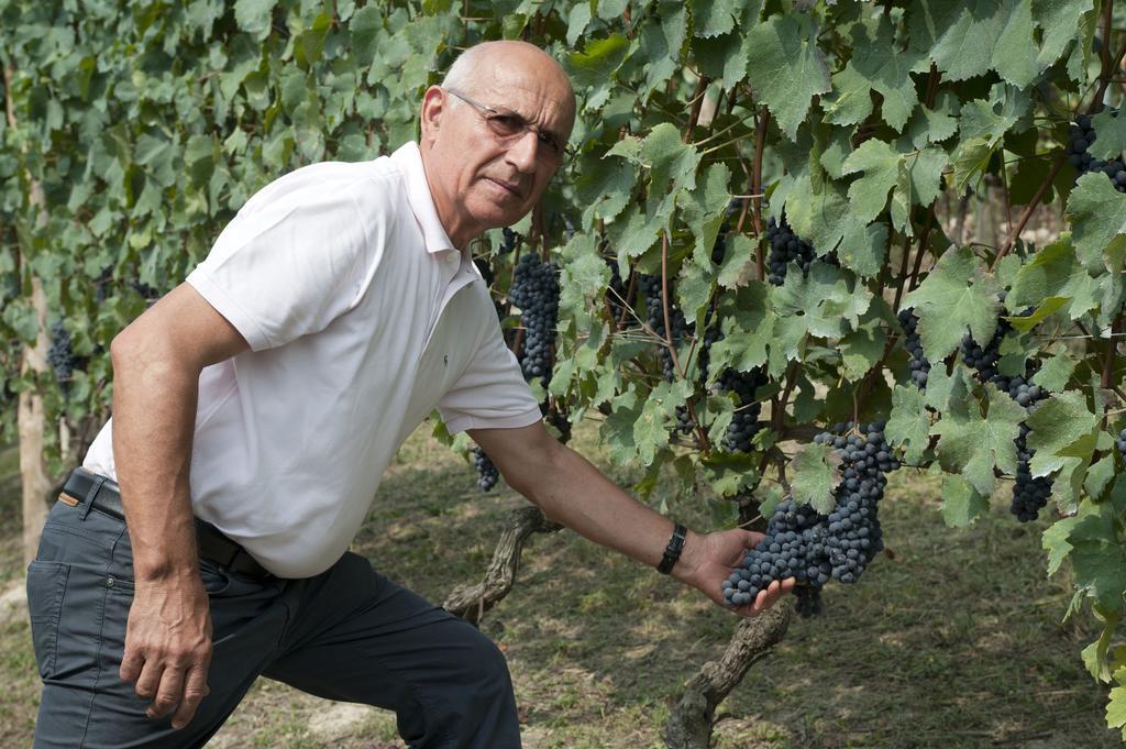 Rivella Bauernhof Barbaresco